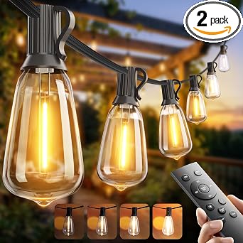addlon 100FT Outdoor String Lights ST38 LED with Remote Waterproof Dimmable