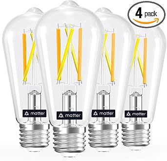 Linkind Matter Smart Edison Light Bulbs, ST19 (58) Vintage Bulbs, 4 Pack