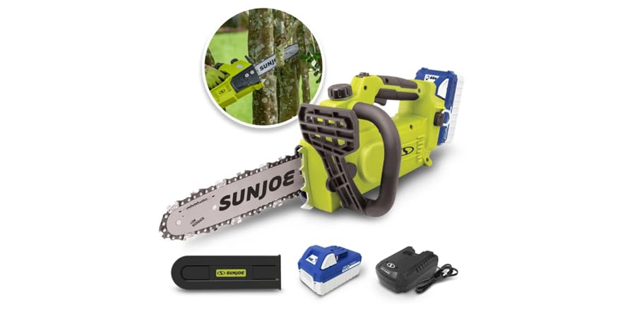 Sun Joe 10-Inch Cordless Chain Saw